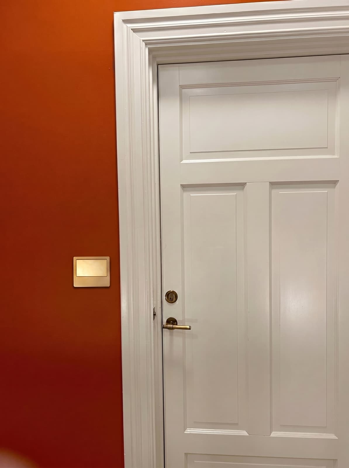 Classic door, brass detail